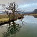 River Derwent  by tinley23