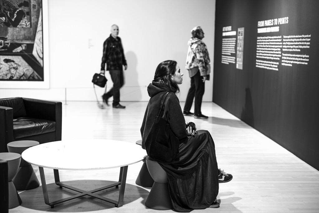 art gallery viewers  by myhrhelper