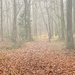 IMG_9154Story of the day- foggy by rontu