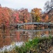 Central Park, New York  by zilli