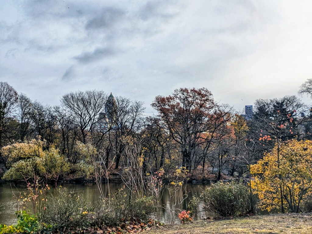 Another side of Central Park  by zilli