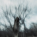 Anguish by darchibald