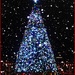 Happy Holidays from the Singing Christmas Tree by olivetreeann