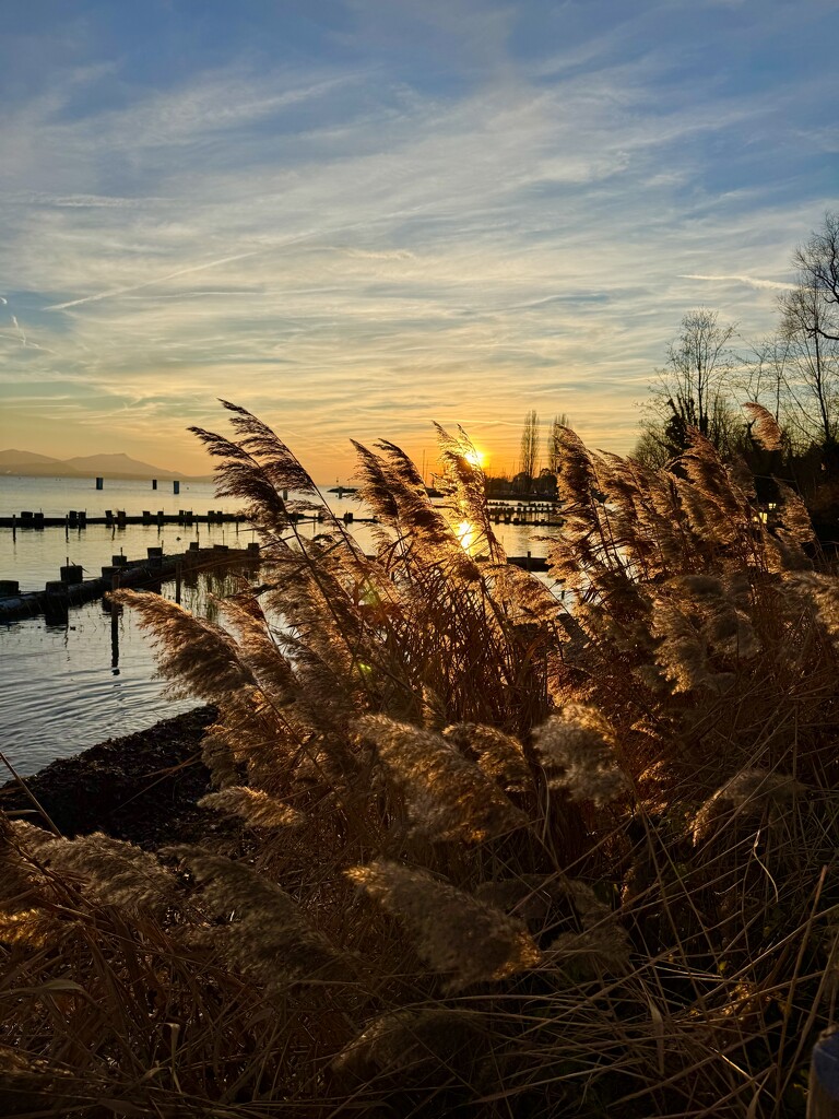 Sunset in the wild.  by cocobella