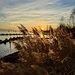 Sunset in the wild.  by cocobella