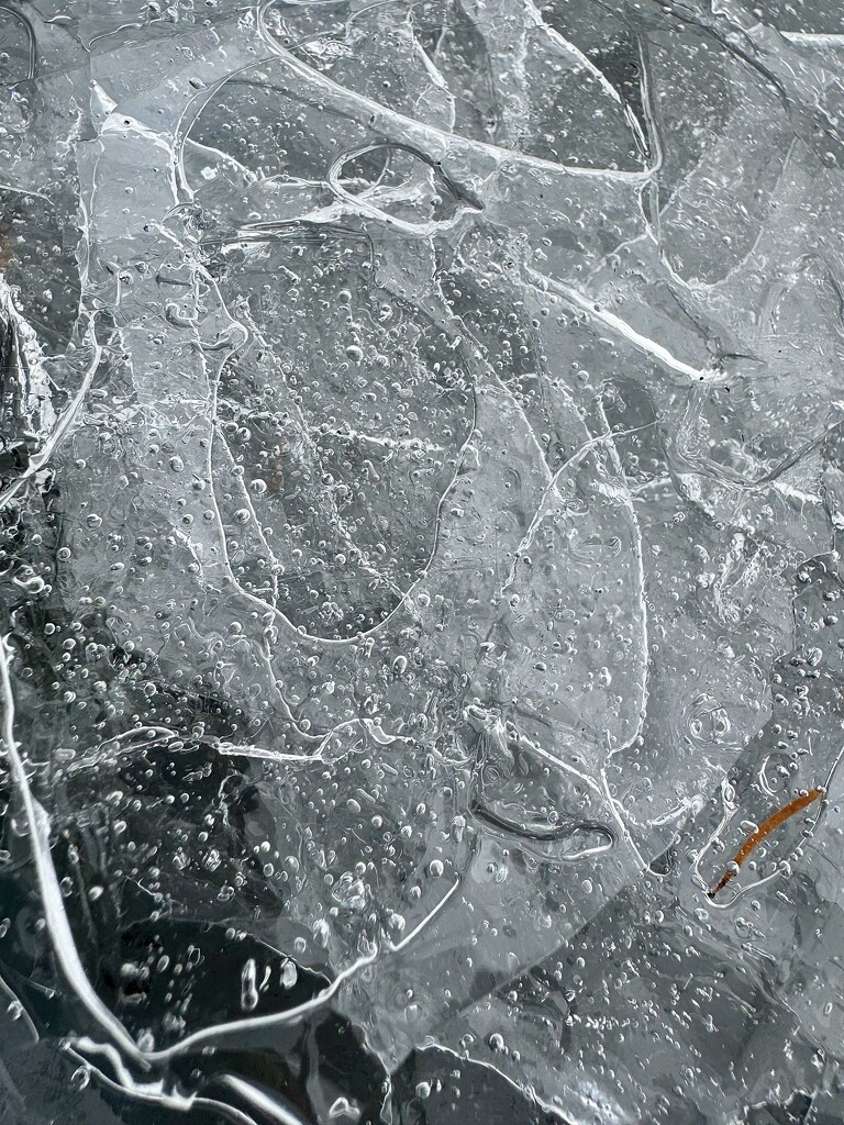 Ice.  by cocobella