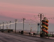 29th Dec 2024 - Early morning stroll
