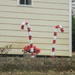 Candy Cane Decorations 