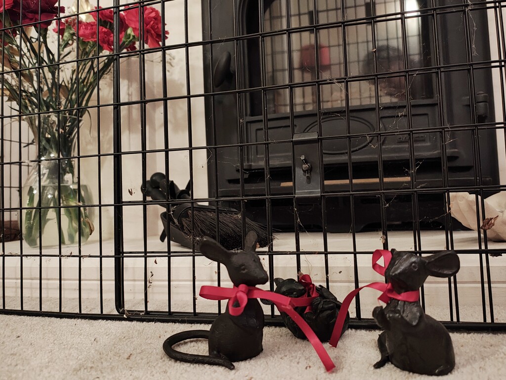 Guards by 30pics4jackiesdiamond