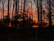 30th Dec 2024 - Sunrise