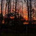 Sunrise by k9photo