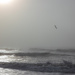 Spooky Ocean-0361 by kellyanngray