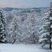 Winter wonderland by elisasaeter