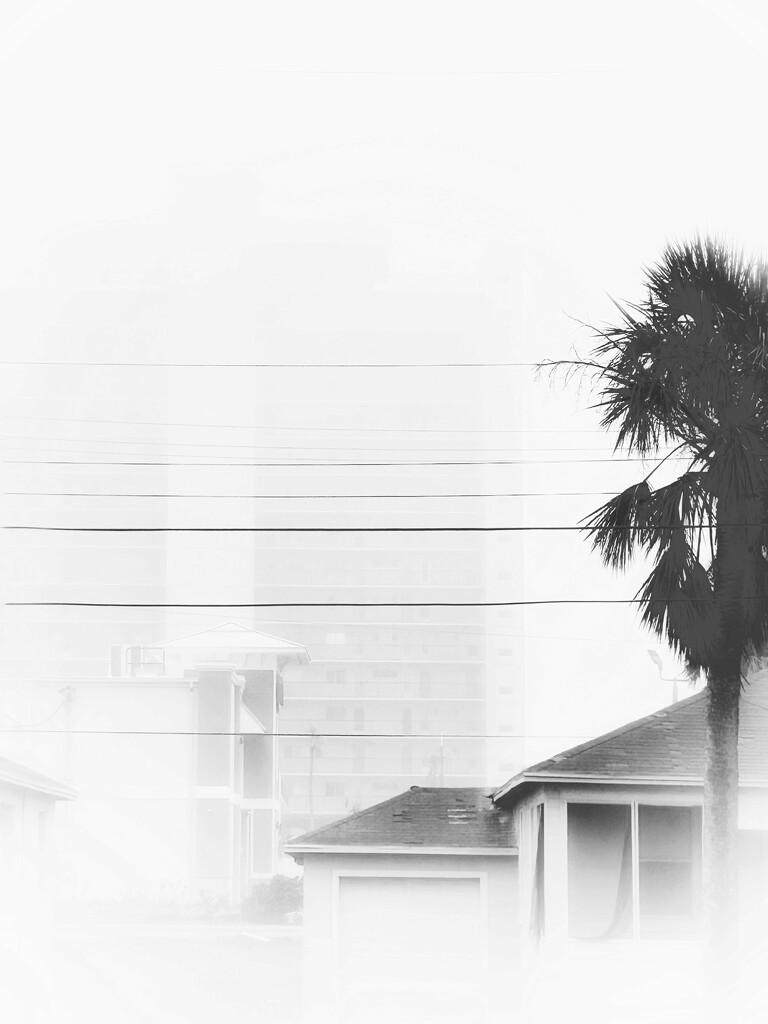 Foggy Monday morning  by joemuli