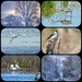 6 for the calendar by amyk