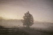 28th Dec 2024 - foggy dawn 