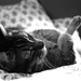 comfy in the bed