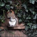 Are you looking at me? by rosiekind