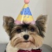 Ready to party by monicac