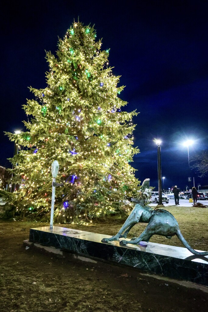 Christmas in Rutland by corinnec