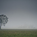 Solitutde by joysabin