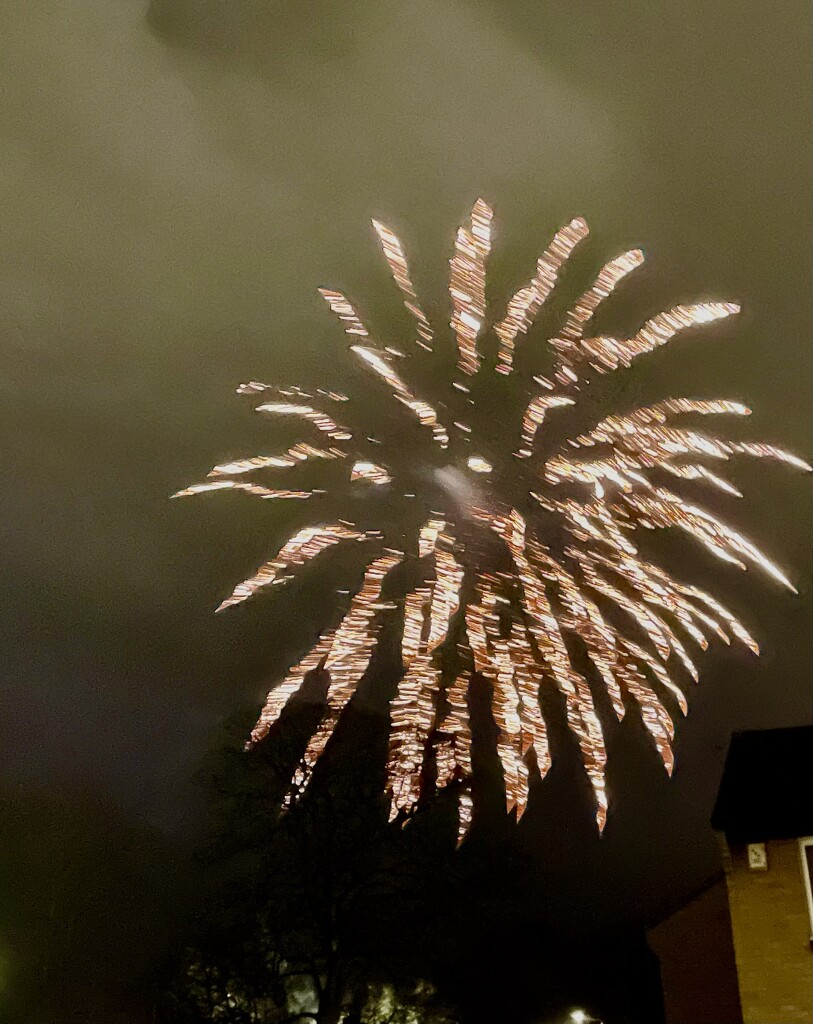 Happy new year to all by nigelrogers
