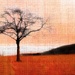 A Taste Of Tapestry  by digitalrn