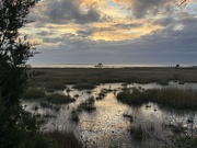 1st Jan 2025 - Marsh sunset over Charleston Harbor