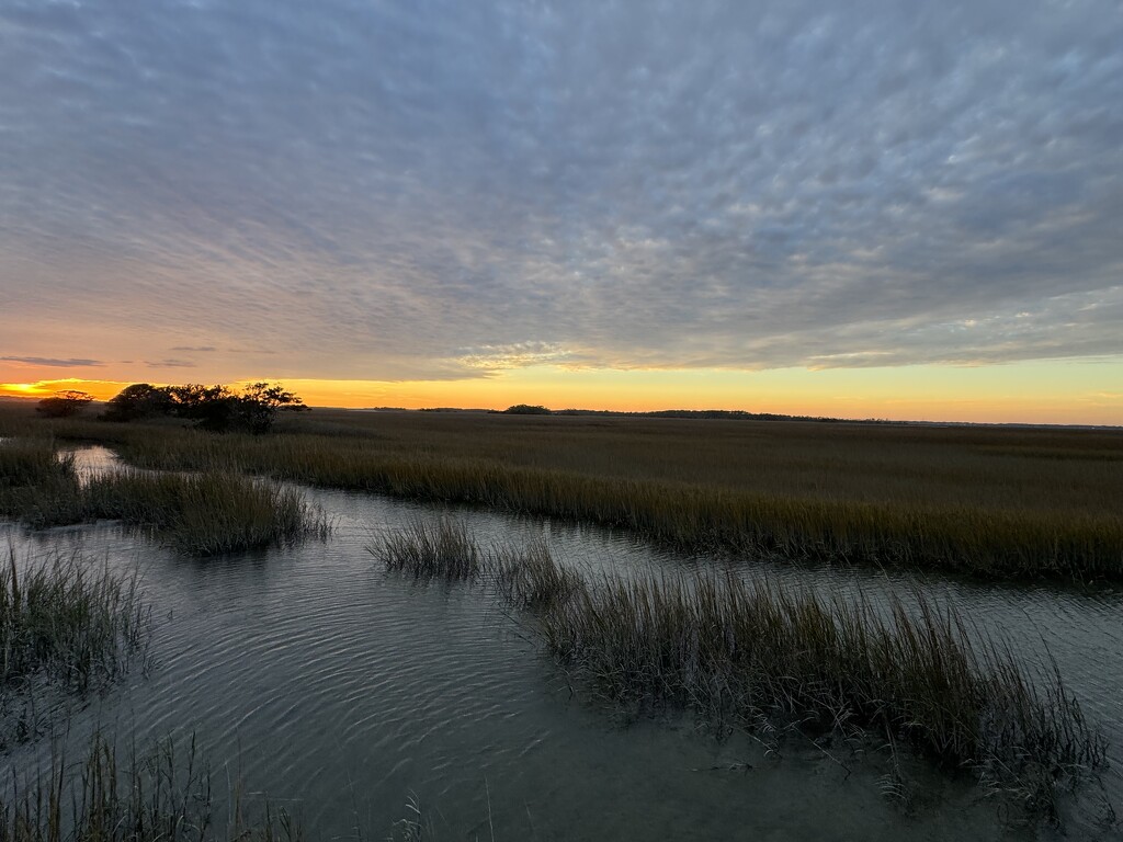 Marsh sunset tranquility by congaree