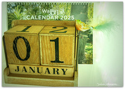 1st Jan 2025 - '2025'