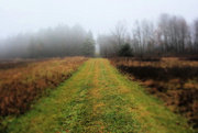 1st Jan 2025 - Look Ahead