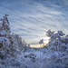 More snow by helstor365