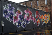 1st Jan 2025 - Flowers cubed