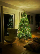 1st Jan 2025 - Last Christmas shot. 
