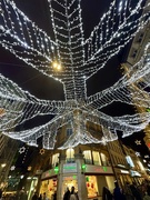 2nd Jan 2025 - Giant snowflakes. 