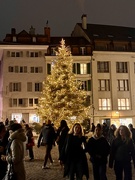 2nd Jan 2025 - Christmas scenery. 