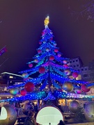2nd Jan 2025 - Blue Christmas tree. 