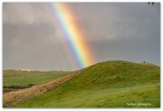 2nd Jan 2025 - Hills of Gold .. 