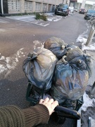 17th Dec 2024 - trash duty