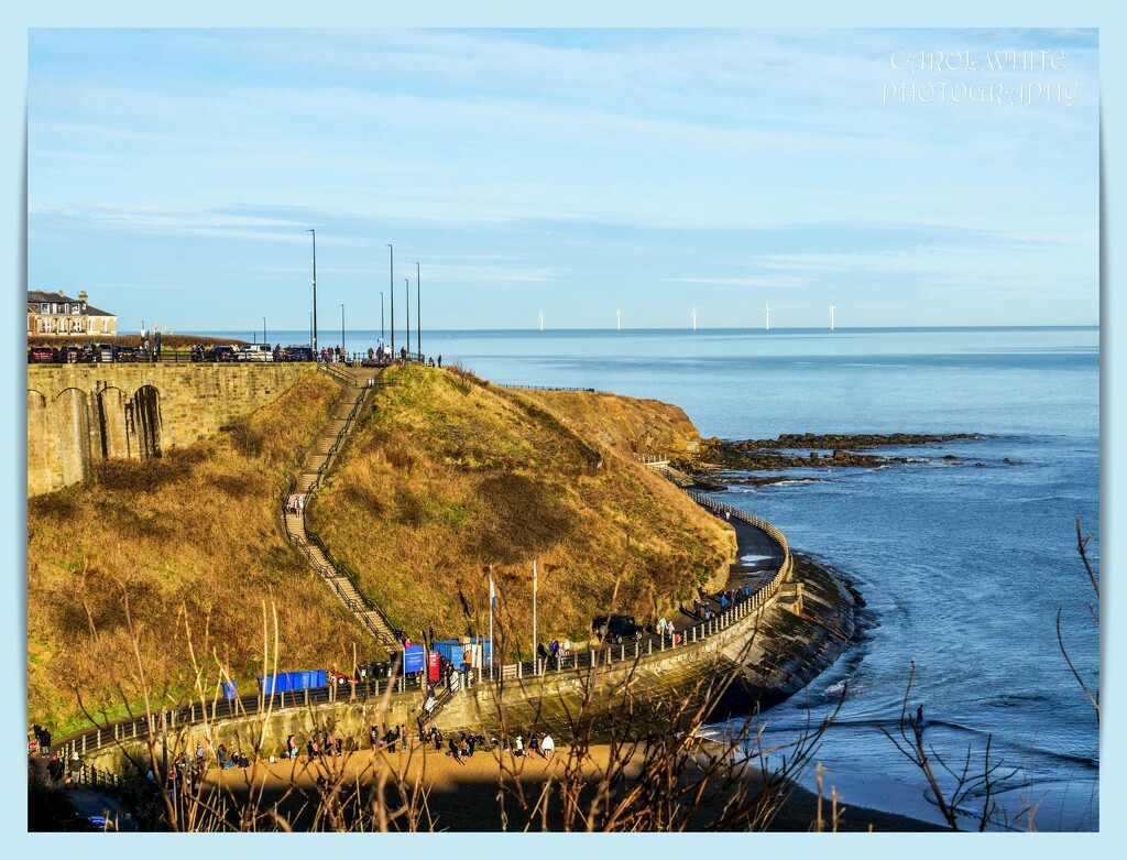 Coastal Promenade,Tynemouth by carolmw