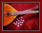 2nd Jan 2025 - Plectrums of love