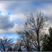 New Years Day — 2025 by hjbenson