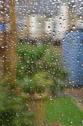 1st Jan 2025 - Rain stopped play