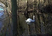 2nd Jan 2025 - Gliding by