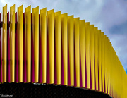 3rd Jan 2025 - Wall