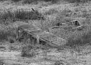 2nd Jan 2025 - Wooden ramp