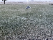 2nd Jan 2025 - Started snowing about 4 PM