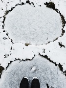 2nd Jan 2025 - Snow tipped
