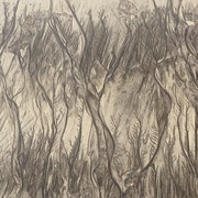 3rd Jan 2025 - Sand