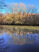 3rd Jan 2025 - Winter’s Reflections 